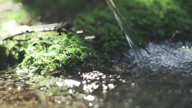 A close-up and slow-motion shot of a water source in a virgin forest