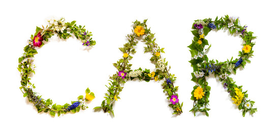 Flower, Branches And Blossom Letter Building English Word Car. White Isolated Background