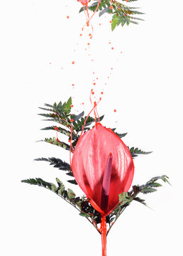 Cocktail Flower - Upside down