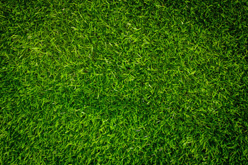 Green grass soccer field background.