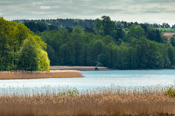 Jezioro pomost wędkarz trzciny wiosna Polska