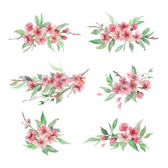 Set of hand drawn watercolor floral arrangements. Cherry blossom