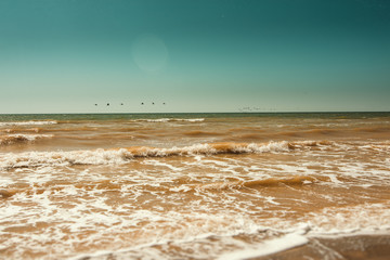 beach in the morning