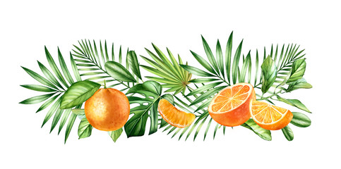 Watercolor orange fruits. Horizontal border with juicy fruits and tropical leaves. Botanical realistic hand drawn illustration 