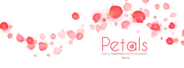 Flying petals abstract background. Cosmetics, wedding and fashion background. Soft romagic blooming wind.