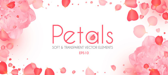 Flying petals abstract background with blossom peony flower. Cosmetics, wedding and fashion background. Soft romagic blooming wind. © feaspb