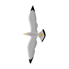 Bird gull vector icon.Cartoon vector icon isolated on white background bird gull.