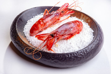 gamba roja
