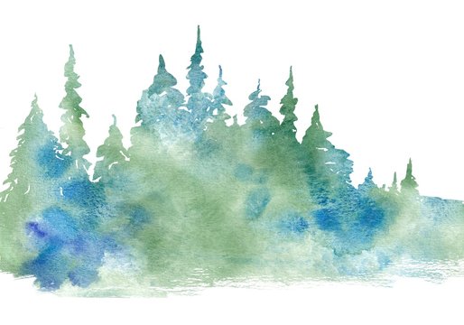 watercolor landscape with fir trees background coniferous forest template