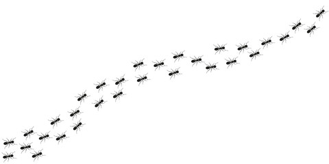 Ant trail background. Walking or marching ants. Vector illustration.
