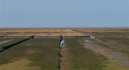 Obraz premium Priele und Feuchtfläche der Nordseeinsel Sylt