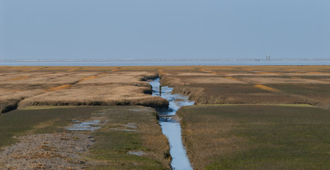 Priele und Feuchtfläche der Nordseeinsel Sylt