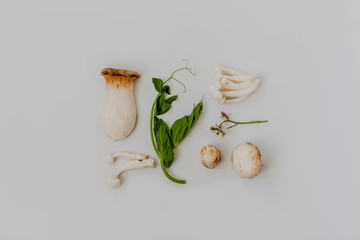 A flat lay composition with a variety of wild mushrooms and pea shoots on a pastel white background