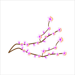 almond branch with flowers illustration for web and mobile design.