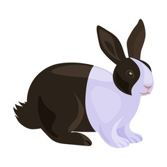 Rabbit vector icon.Cartoon vector icon isolated on white background rabbit.