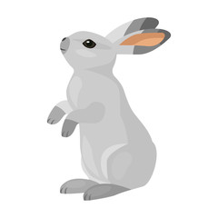 Rabbit vector icon.Cartoon vector icon isolated on white background rabbit.