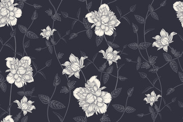 Flowers clematis. Black and white floral seamless pattern.