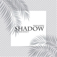 Palm leaf shadow transparent effect. Exotic design element.