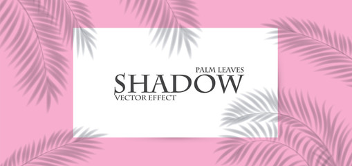 Fototapeta na wymiar Palm leaf shadow transparent effect. Exotic design element.