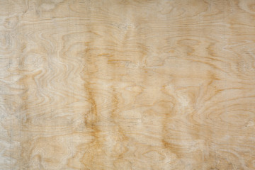 Natural texture and background. Natural plywood texture