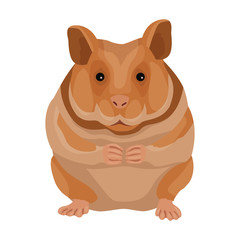 Hamster vector icon.Cartoon vector icon isolated on white background hamster.