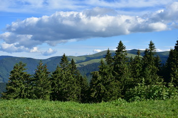 mountain landscape with green meadows and trees in a beautiful spring sunny day