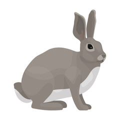 Fototapeta na wymiar Hare vector icon.Cartoon vector icon isolated on white background hare.