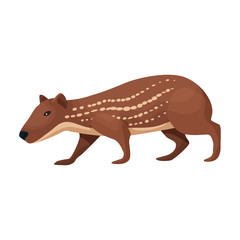 Agouti vector icon.Cartoon vector icon isolated on white background agouti.