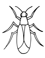 insect outline vector, icon. Coloring page for kids. Exotic bug.hand drawn doodle style, Isolated.
