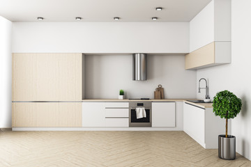 Contemporary loft kitchen interior