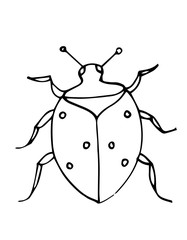 Coloring book page with bug, outline, vector illustration, doodle