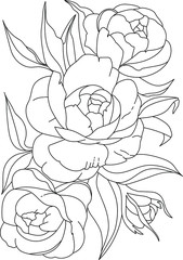 Flowers graphic. Three blooming peonies with a bud and leaves. Vector coloring book pages. Hand drawn illustration. Monochrome floral background wallpaper. Floral ornament is good for web, print 
