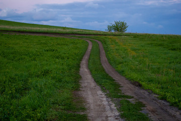 Fototapeta na wymiar country road at sunset in green grass