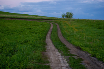 country road at sunset in green grass