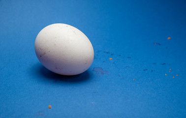 white egg and blue background
