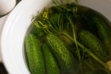 cucumber and dill
