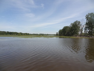 Marais de Goulaine, Pont de l'Ouen, Haute-Goulaine, Loire-Atlantique, Pays de la Loire, France