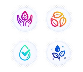 Dermatologically tested, Leaves and Fair trade icons simple set. Button with halftone dots. Plants watering sign. Organic, Nature leaf, Safe nature. Water drop. Healthcare set. Vector