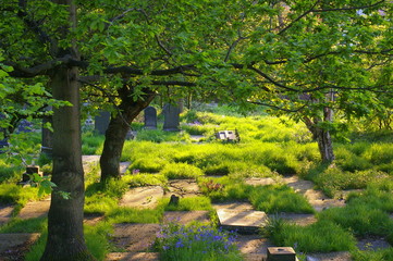 Tombstones and trees in Prestwich
