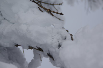 雪山