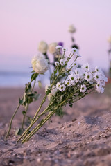 Funeral flower, lonely white and red roses and daisy flowers at the beach,  Funeral symbol and Condolence card concept. Selective focus on daisy flowers