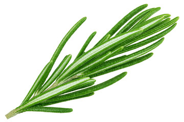 rosemary isolated on white background, clipping path, full depth of field