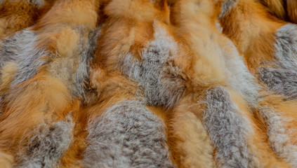 Rotfuchs Pelz als Textur und Hintergrund