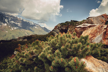 Rocky mountain scenery, Alps, Austria. Grossglockner. Mountain View.