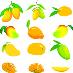 Mango Illustration Fruit Vector Design Stock Image. Bright vector set of colorful and Fresh cartoon fruits isolated on white background. Collection of cute vector fresh mango.