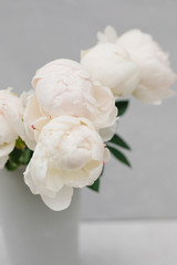 Bouquet of white peonies in a vase on a gray background. Flower concept. Stylish bouquet of white flowers.