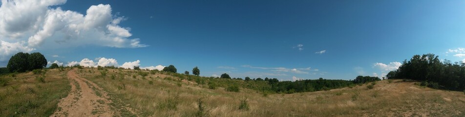 green meadow and forest in vivid color 