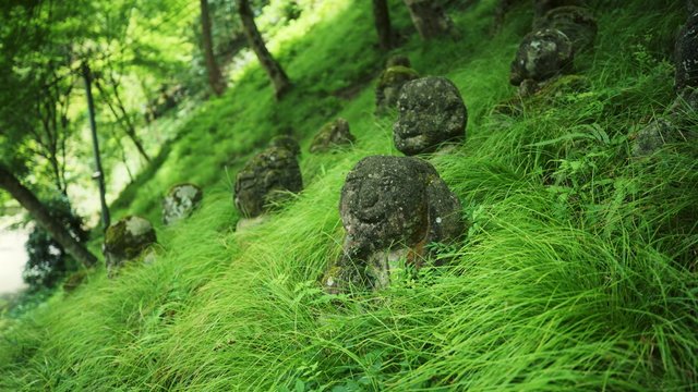 Rakan Statue in green grass. Kyoto, Japan
