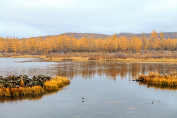 Rhododendron Lake  in Aershan, Inner Mongolia, China