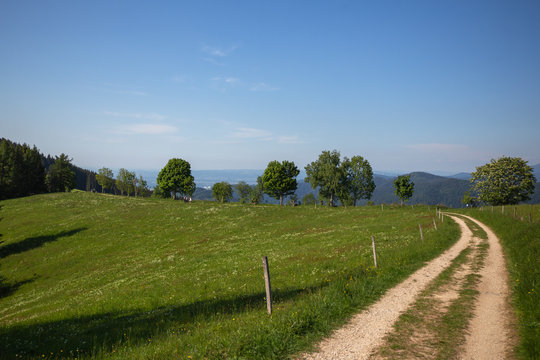 The View Of Schauinsland From Geiersnest, St. Ulrich, Freiburg
